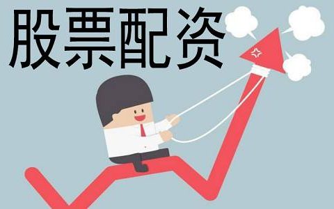 动量选股